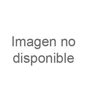 Mountain fox - Vector graphics